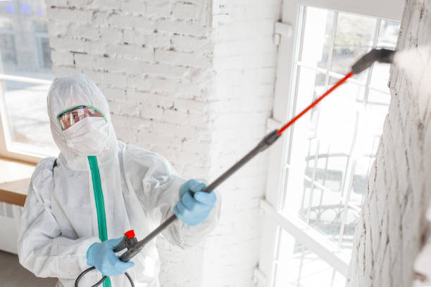 Asbestos and Lead Testing During Mold Inspection in Perrysburg, OH